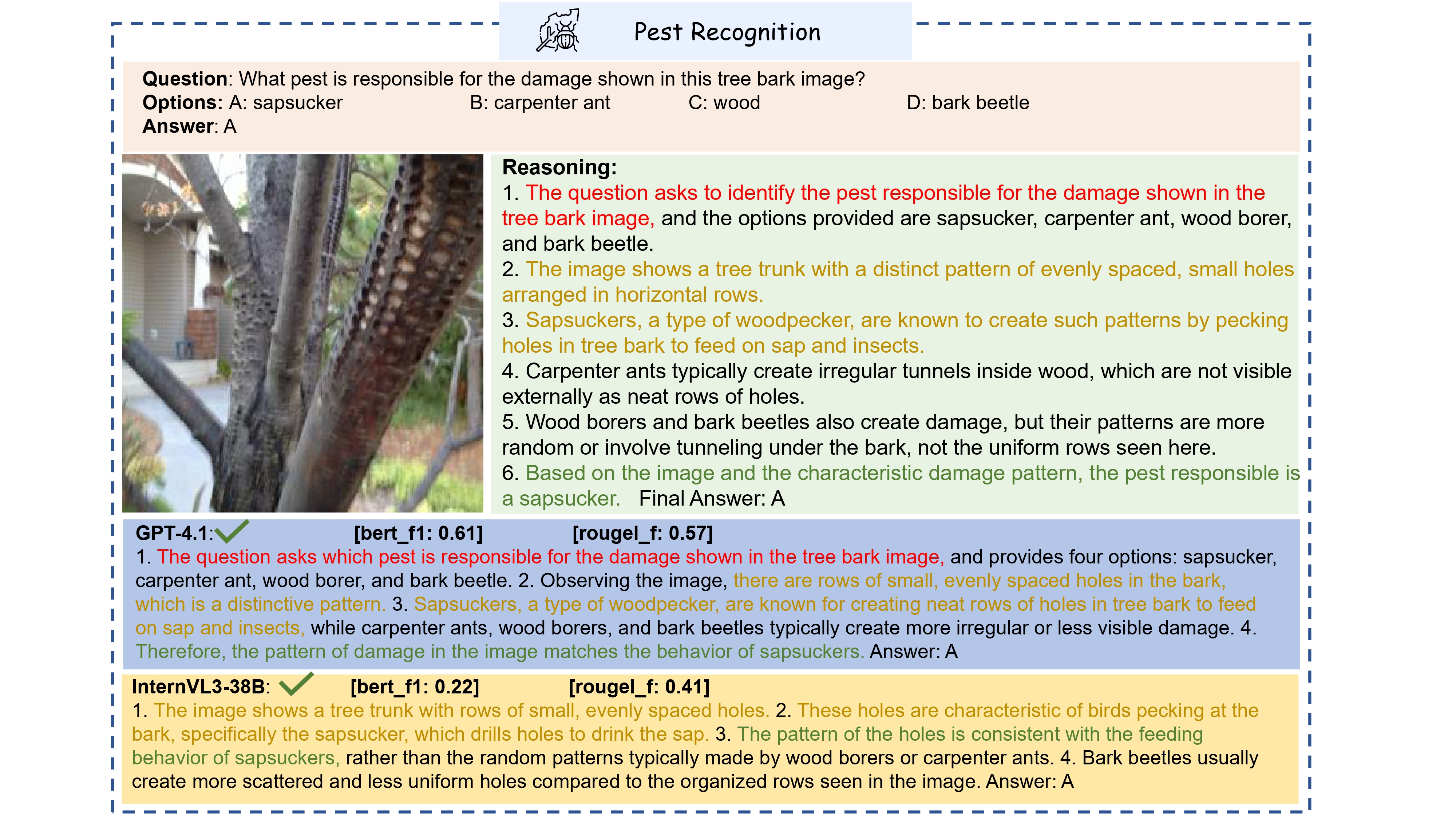 Pest Recognition